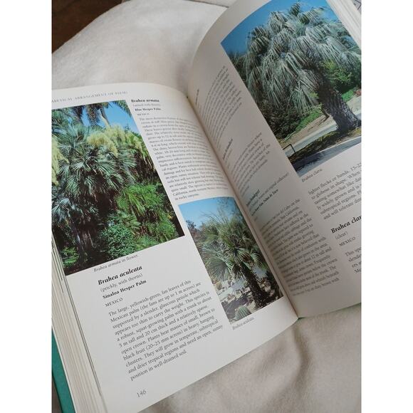 Palms Throughout the World David L. Jones 1995 Hardcover Dust Jacket Like New - Picture 11 of 16